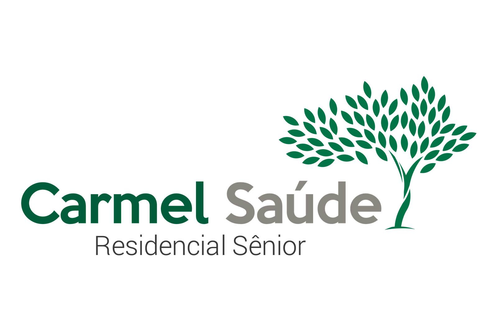 Logo-Carmel-Saúde